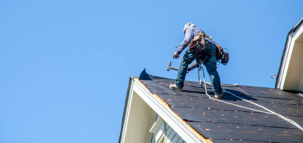 Best Roof Gutter Cleaning  in Arnaudville, LA